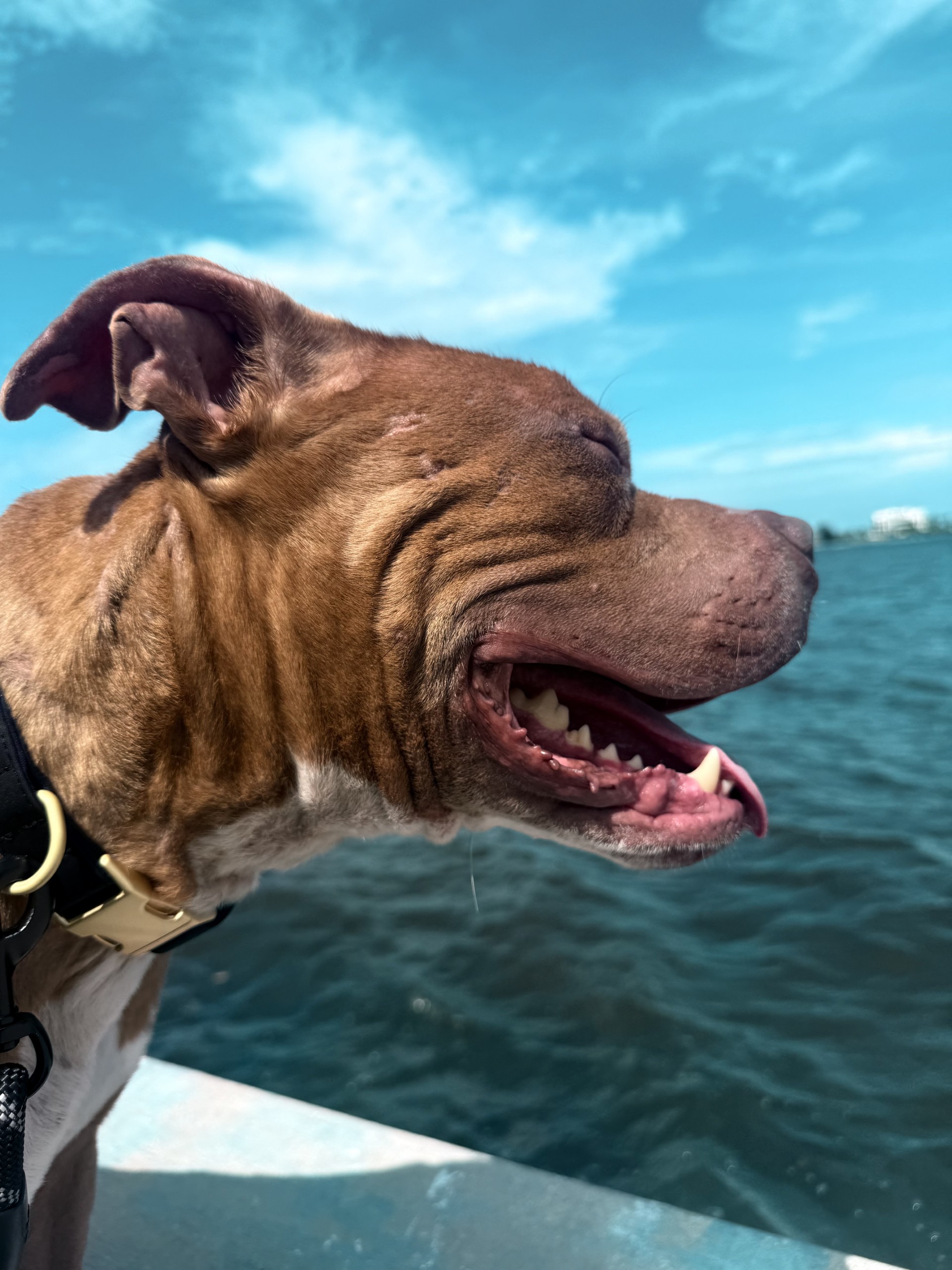 The personal side of DTL EVNTS founder Danielle Lampron, based in Florida.