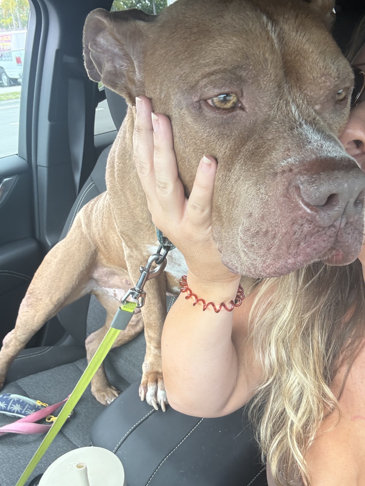 Danielle Lampron sharing a moment with her dog, highlighting the personal touch of a founder-led agency.